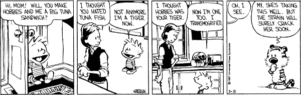 Calvin 328.gif